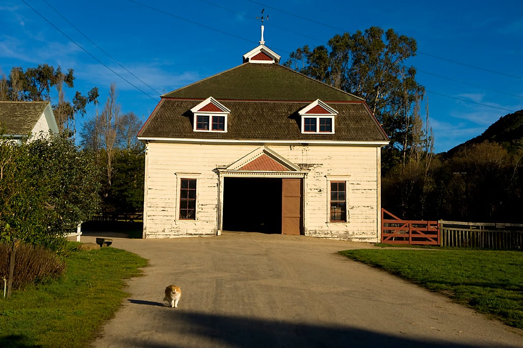 Wilder Ranch State Park 2